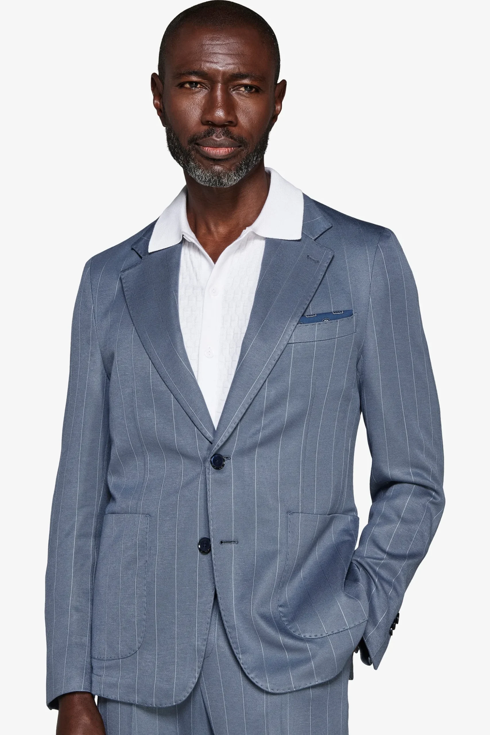 Avion pinstripe jersey blazer