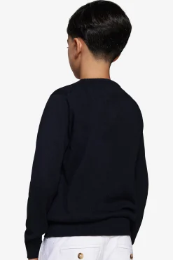 KIDS Blue brushed cotton crewneck sweater