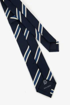 KIDS Blue striped tie