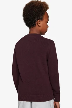 KIDS Burgundy plain knit sweater
