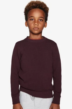 KIDS Burgundy plain knit sweater